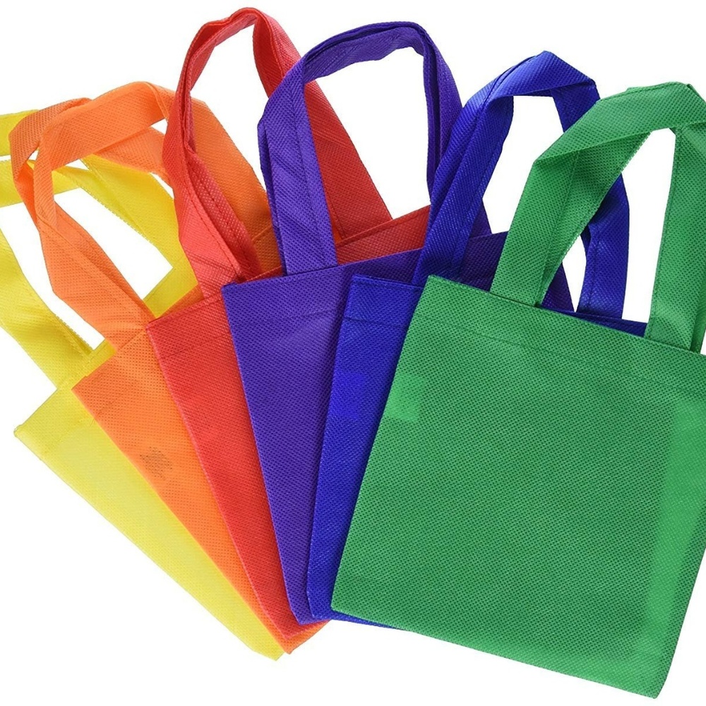 1 Dozen Fun Express Poly Non-Woven Party Tote Bags